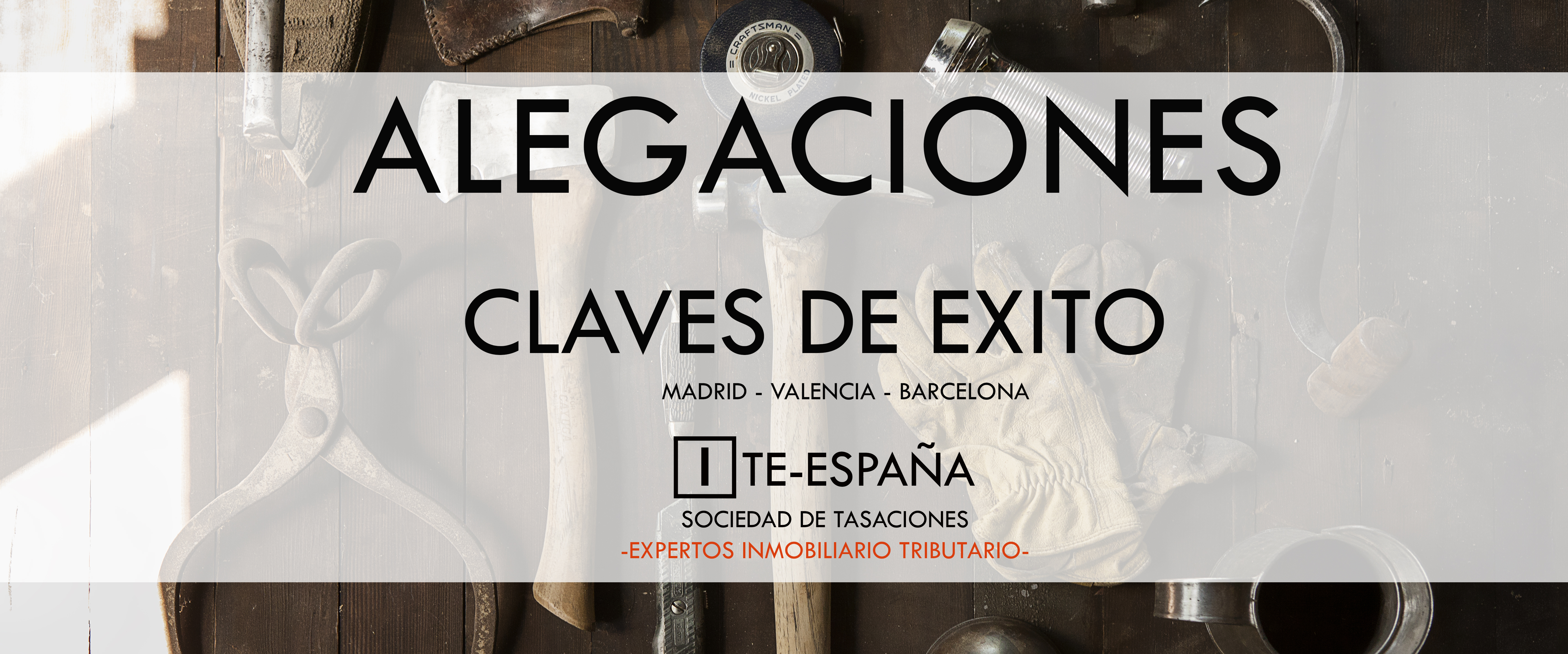 modelo de alegaciones