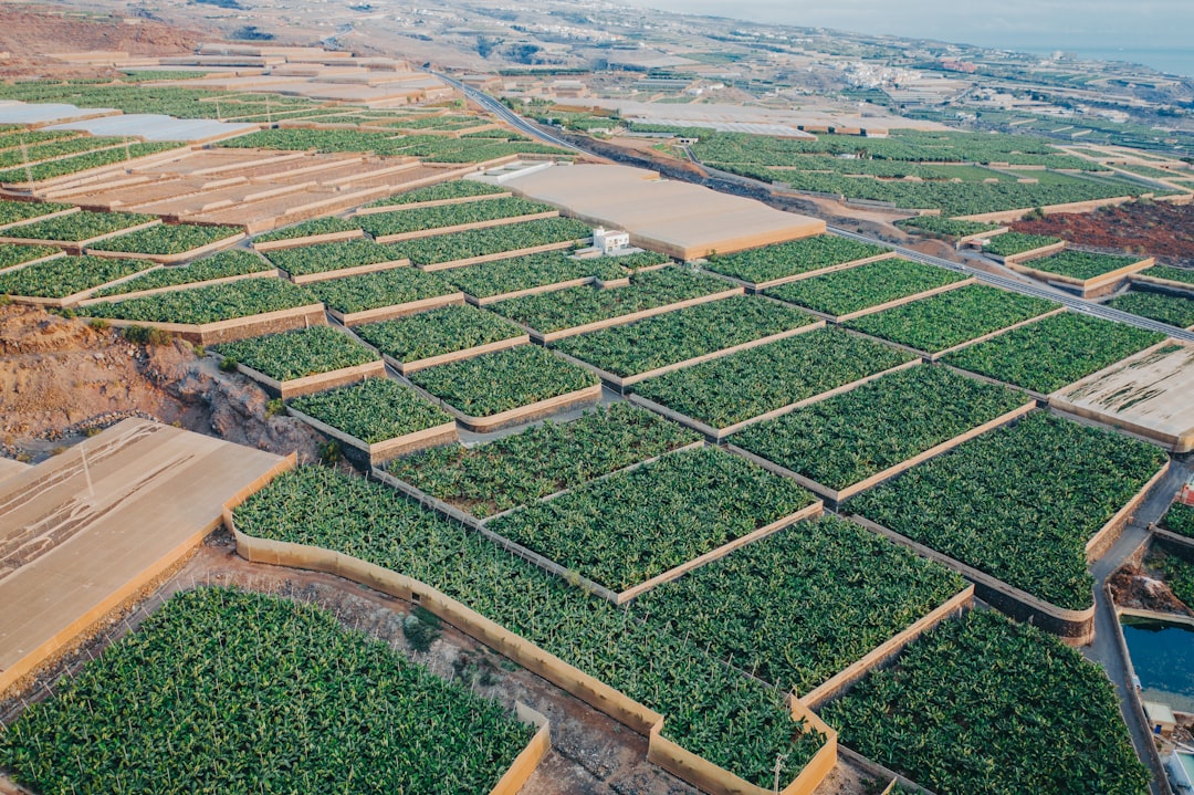 Vista aérea de suelo rural para valoración pericial y justiprecio